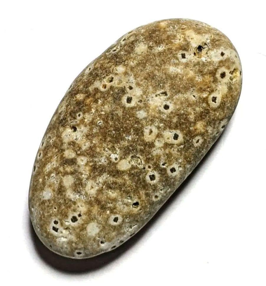 Amazon.co.jp: 青森県産 錦石 ポツポツ結晶 球顆流紋岩 個性派 原石